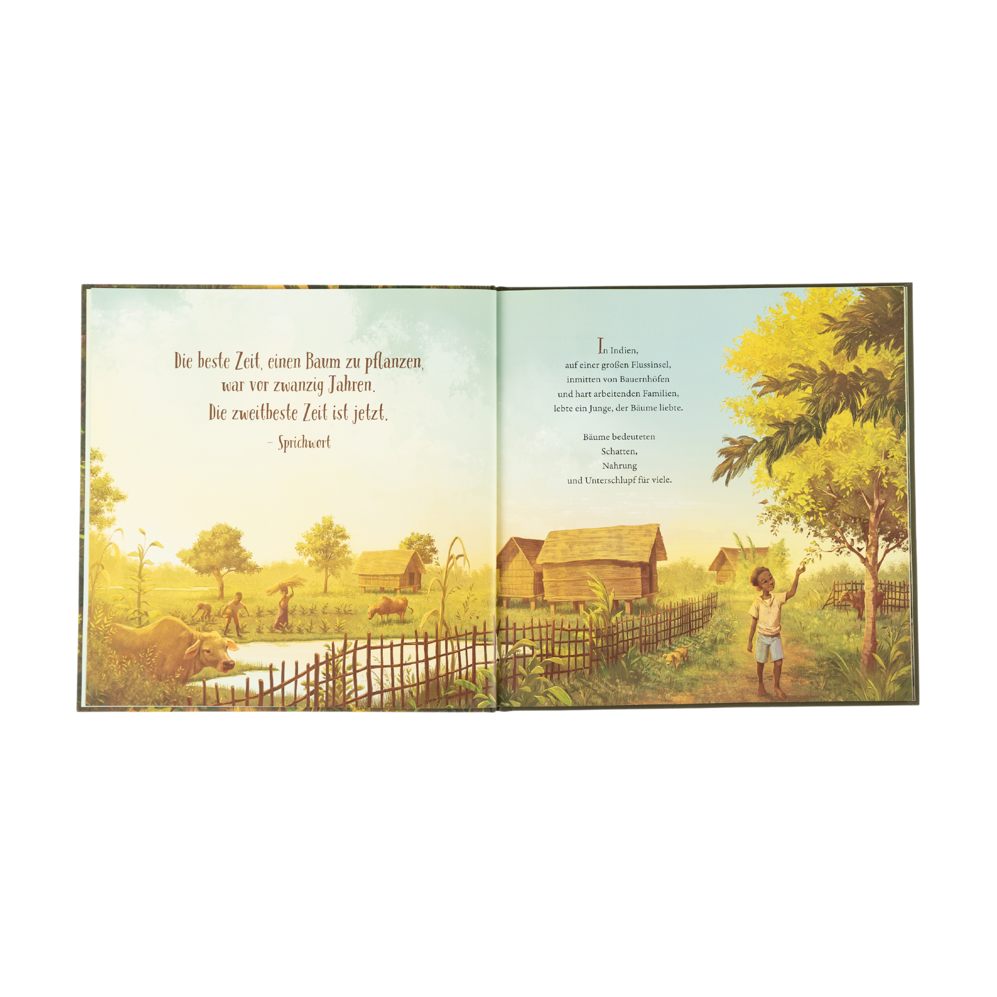 Eine illustrierte Doppelseite aus "Der Junge, der einen Wald pflanzte" von Sophia Gholz zeigt eine ländliche Szene mit Kindern, Arbeitern, strohgedeckten Häusern, Bäumen und Tieren. Auf der linken Seite steht ein Sprichwort über Bäume, auf der rechten ein kurzer Text über Regenwald.