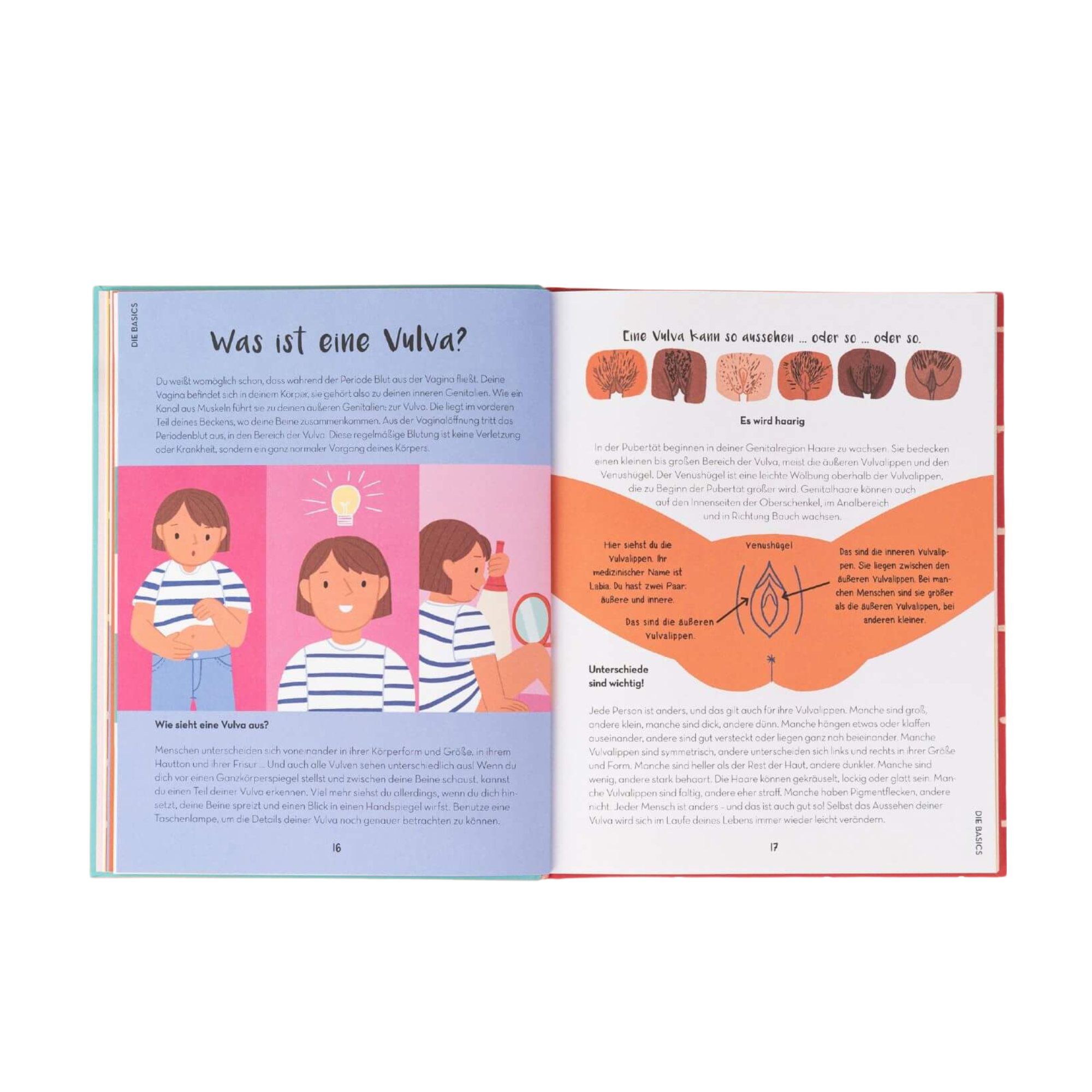 Das Buch "Mut zum Blut" von Chella Quint zeigt Kinder, die sich im Spiegel untersuchen, neben dem Text "Was ist eine Vulva?". Auf der gegenüberliegenden Seite finden sich Vulva-Illustrationen und beschreibende Texte, die von den Ideen der Periode Positiv inspiriert sind.