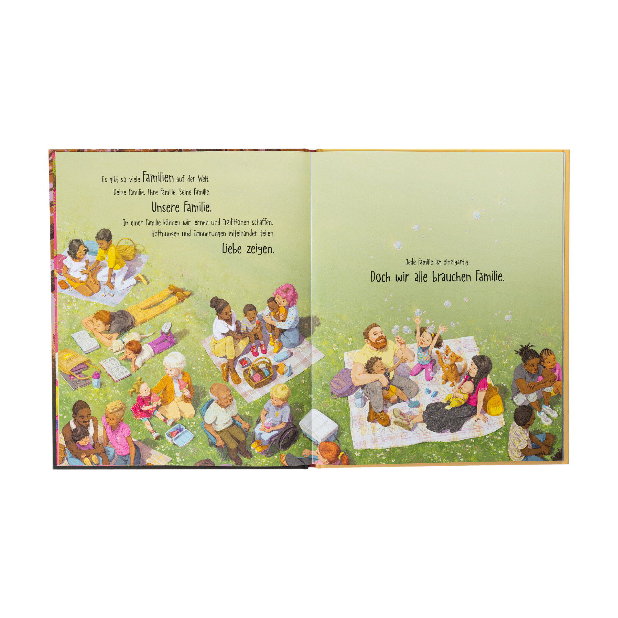 Im Bilderbuch "Eine Familie wie unsere" von Frank Murphy und Alice Lee picknicken vielfältige Familien, teilen Essen, spielen und reden. 